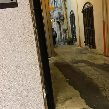 Alloro 9